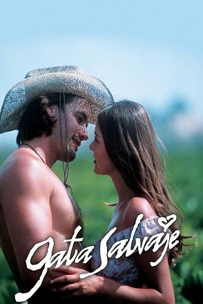 Movie and show artwork